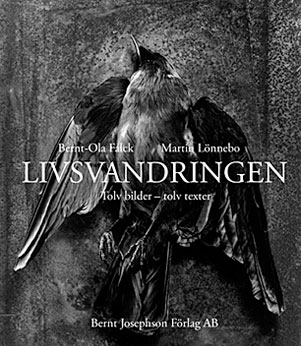 Livsbok